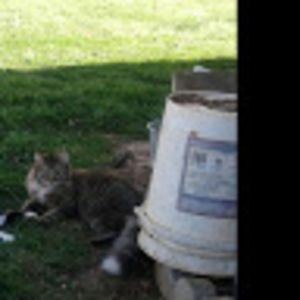 Meet your Posher, Victor